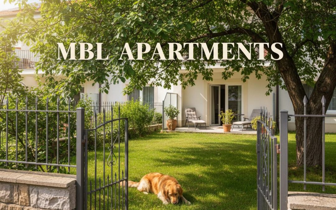 Romantikus wellness hétvége kutyával: amikor kettesben vagytok, de a családtag sem marad ki