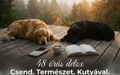 48 órás digitális detox kutyával: mini-retreat márciusban