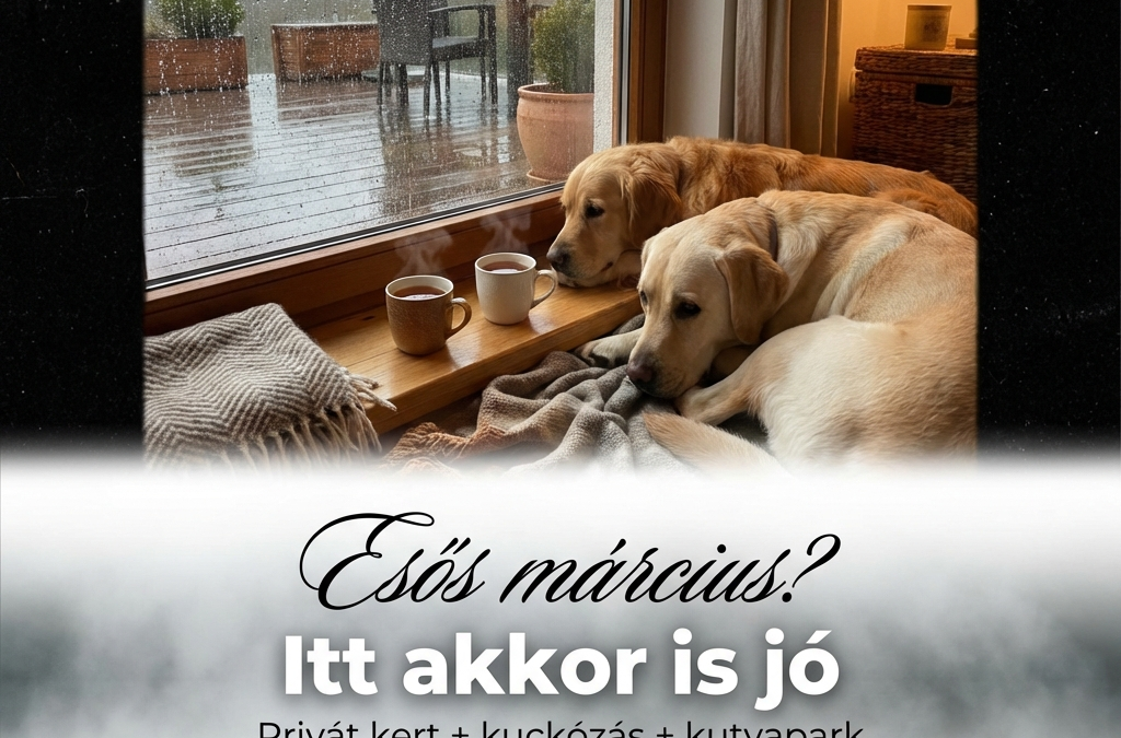 Esős márciusi nap? A kutyás pihenés akkor is lehet tökéletes