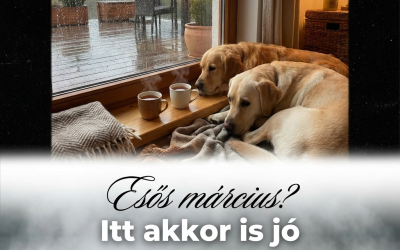 Esős márciusi nap? A kutyás pihenés akkor is lehet tökéletes
