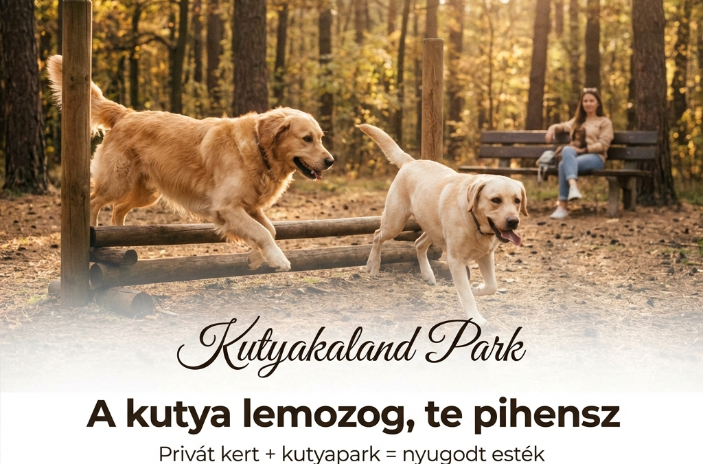 Kutyakaland Park + kikapcs kutyával: amikor a kutyád szabad, te is felszabadulsz