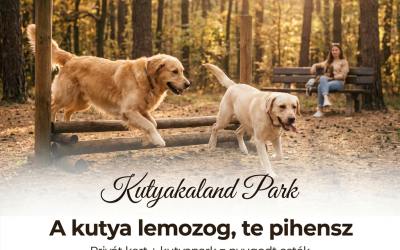 Kutyakaland Park + kikapcs kutyával: amikor a kutyád szabad, te is felszabadulsz